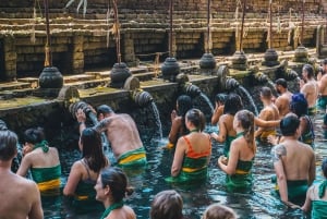 Bali: Penglipuran Village, Tirta Empul & Ubud All Incusive