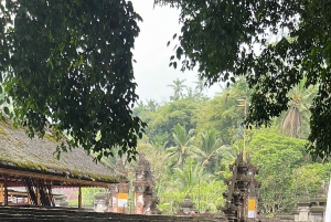 Bali: Penglipuran Village, Tirta Empul & Ubud All Incusive