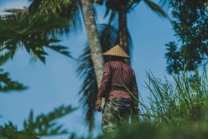 Bali: Penglipuran Village, Tirta Empul & Ubud All Incusive