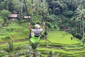 Bali: Penglipuran Village, Tirta Empul & Ubud All Incusive