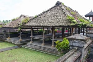 Bali: Penglipuran Village, Tirta Empul & Ubud All Incusive