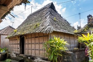 Bali: Penglipuran Village, Tirta Empul & Ubud All Incusive