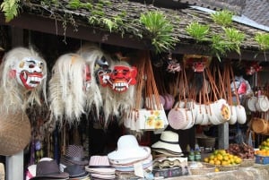 Bali: Penglipuran Village, Tirta Empul & Ubud All Incusive