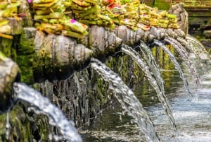Bali: Penglipuran Village, Tirta Empul & Ubud All Incusive