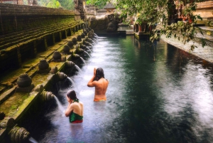 Bali: Penglipuran Village, Tirta Empul & Ubud All Incusive