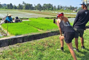 Bali : visite à vélo du village de Petang avec déjeuner