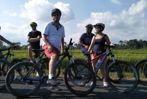 Bali : visite à vélo du village de Petang avec déjeuner