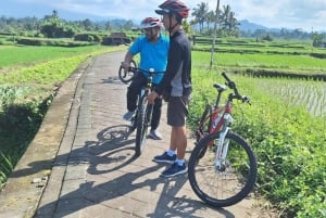 Bali: Petang Village Cycling Tour with Lunch
