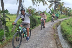 Bali: Petang Village Cycling Tour with Lunch