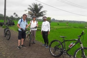 Bali: Petang Village Cycling Tour with Lunch