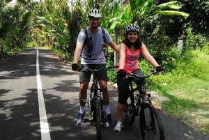 Bali: Petang Village Cycling Tour with Lunch