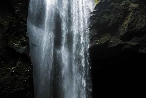 БАЛИ: Фото и видеосъемка, индивидуальный частный тур,