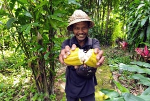 Bali: Pinge Village Tour: School Visit, Cooking Class, Lunch