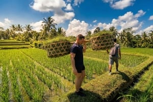 Bali: Pinge Village Tour: School Visit, Cooking Class, Lunch
