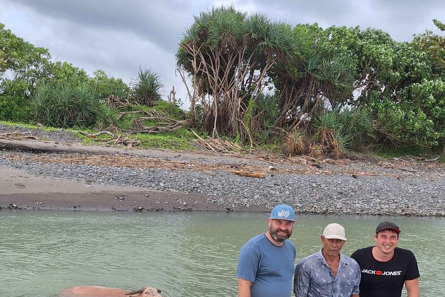 Bali: Pink Buffalo Adventure with Culinary Experience