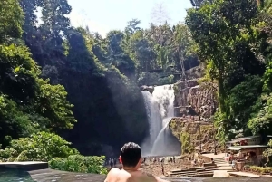 Bali: Poh Gading Waterfall and Omma Dayclub Tour