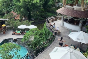 Bali: Poh Gading Waterfall and Omma Dayclub Tour