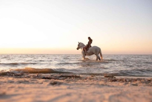 Bali: Premium ridetur på Kudungu Beach og i rismarkerne