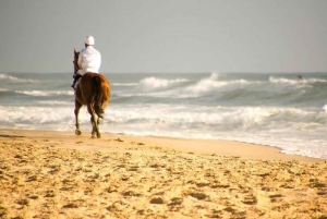 Bali: Premium ridetur på Kudungu Beach og i rismarkerne
