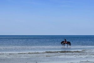 Bali : Balade à cheval premium sur la plage de Kudungu et dans les rizières