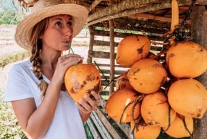 Bali: Private Balinese Home, Temple, and Waterfall Tour