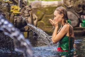 Bali: Private Balinese Home, Temple, and Waterfall Tour