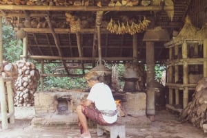 Bali: Private Balinese Home, Temple, and Waterfall Tour