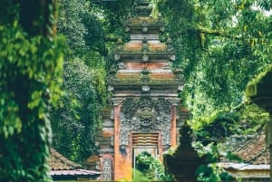 Bali: Private Balinese Home, Temple, and Waterfall Tour