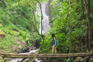 Bali: Private Balinese Home, Temple, and Waterfall Tour