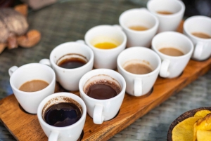 Bali: Private Balinese Home, Temple, and Waterfall Tour