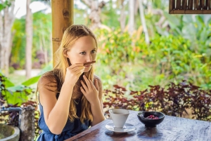 Bali: Private Balinese Home, Temple, and Waterfall Tour