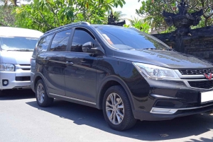 Bali : Private Car Between Airport - Ubud