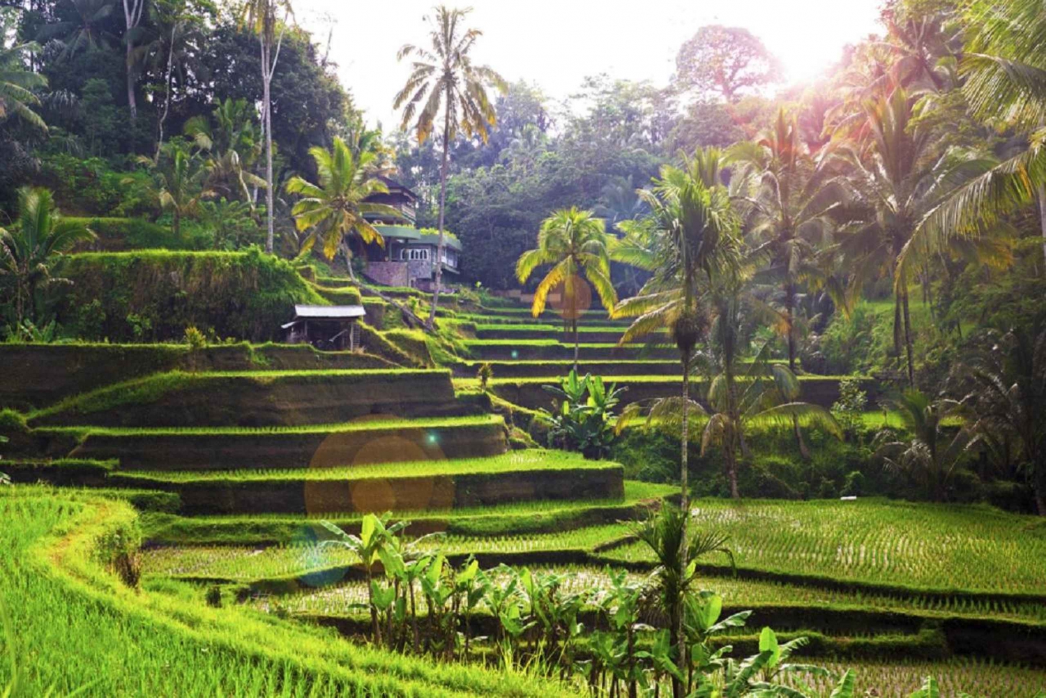 Bali : Location d'une voiture privée avec chauffeur