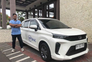 Bali: Private Car Charter with Driver