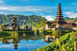 Bali: Privat bilcharter med engelsktalande förare