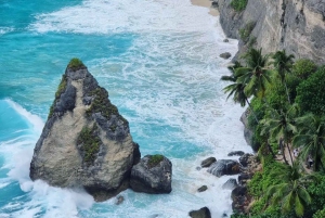 Bali Private Custoized Nusa Penida One Day Tour