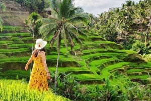 Bali Private Custom Tours with Chauffeur Services