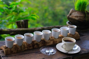 バリ：カスタマイズ可能な日帰りツアー