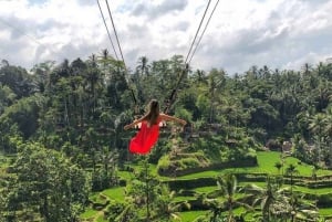 バリ：カスタマイズ可能な日帰りツアー