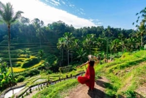バリ：カスタマイズ可能な日帰りツアー