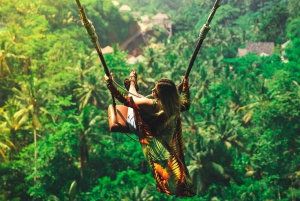 Bali: Private Customized Tours Highlights Pick Up Inclusive