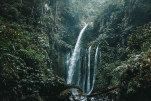 Bali: Private Customized Tours Highlights Pick Up Inclusive