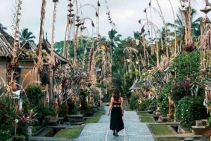 Bali: Private Day Trip to Waterfall & Traditional Village