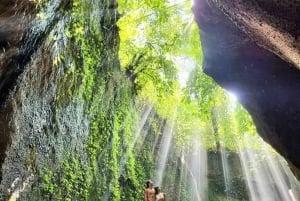 Bali: Private Day Trip to Waterfall & Traditional Village