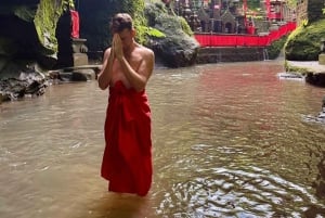 Bali: Private Day Trip to Waterfall & Traditional Village