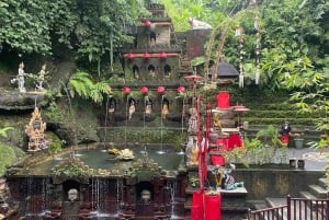 Bali: Private Day Trip to Waterfall & Traditional Village