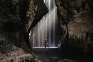 Bali: Private Day Trip to Waterfall & Traditional Village