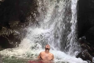 Bali: Private Day Trip to Waterfall & Traditional Village