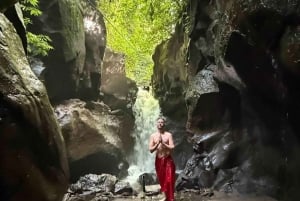 Bali: Private Day Trip to Waterfall & Traditional Village