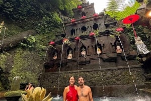 Bali: Private Day Trip to Waterfall & Traditional Village
